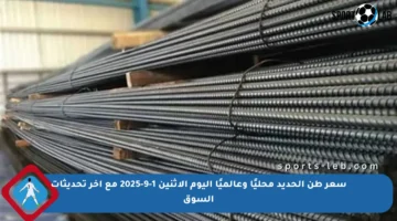 سعر طن الحديد محليًا وعالميًا اليوم الاثنين 1-9-2025 مع آخر تحديثات السوق